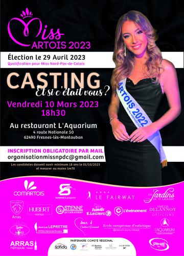 Un casting pour Miss Artois 2023!!