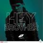 Hey Brother (Feat. Dan Tyminski)