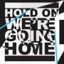 Hold On, We're Going Home (Feat. MAJID JORDAN)