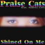 Shined On Me (Remix)