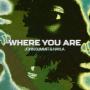 Where You Are (feat. Hayla)