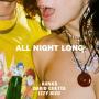 All Night Long (Feat. Izzy Bizu)